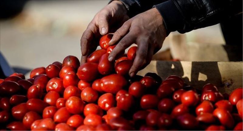 Rusya: Türkiye´den meyve-sebze alımını sınırlandıracağız