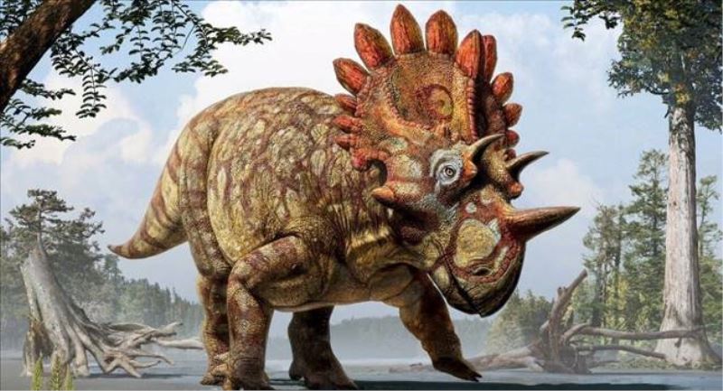68 milyon yıllık dinozor fosili bulundu