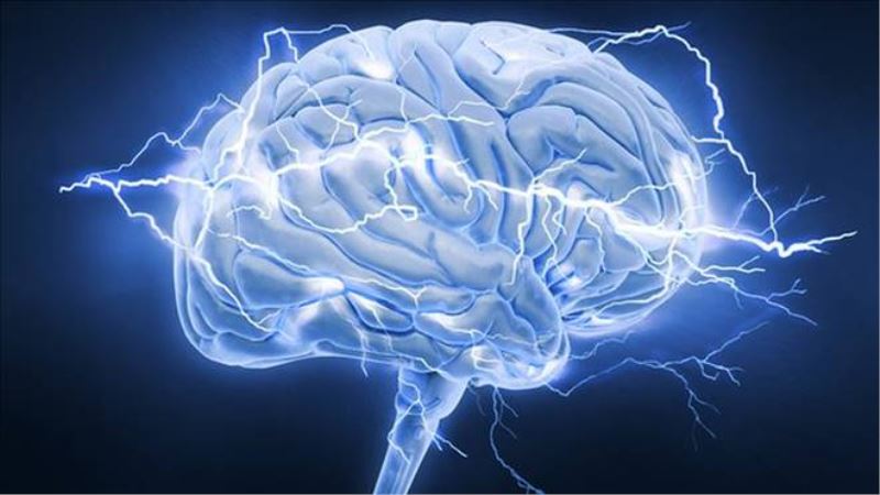 Bilim insanları beynin gizemini çözebilecek mi?