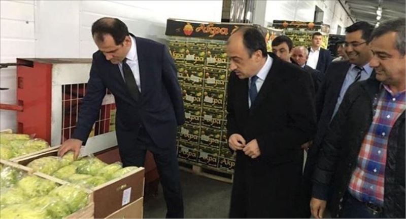 Türk Müsteşar ve Büyükelçi, Moskova´nın en büyük meyve-sebze halini ziyaret etti 