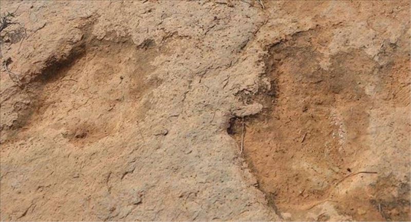 Gobi Çölü´nde titanozora ait ayak izi keşfedildi  