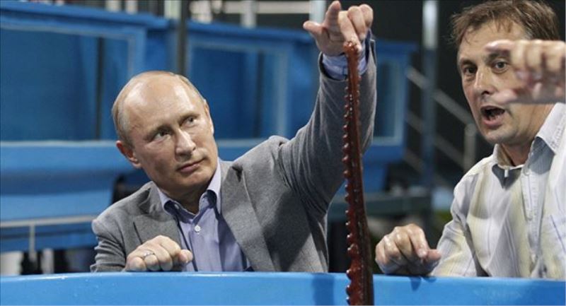 İngiliz basınında Rusya masalı: Putin ve 14 kollu mürekkep balığı  
