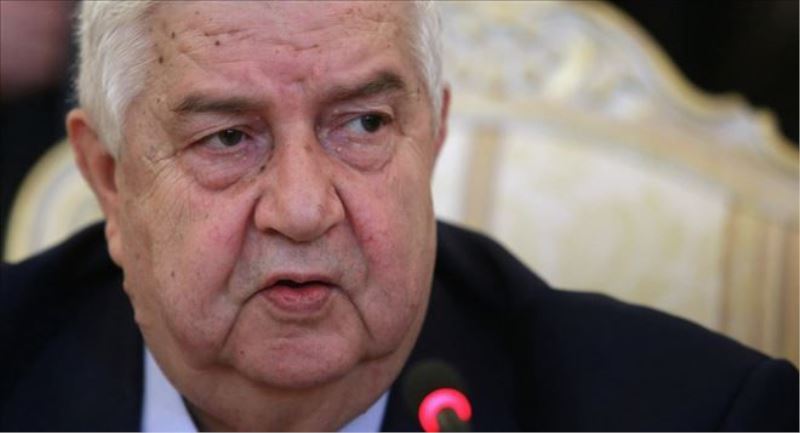 Suriye Dışişleri, Astana görüşmelerinde başarının neye bağlı olduğunu açıkladı 