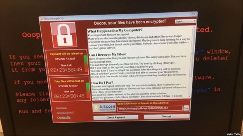 En Büyük Siber Saldırı 74 Ülkeyi ´Ağlattı´