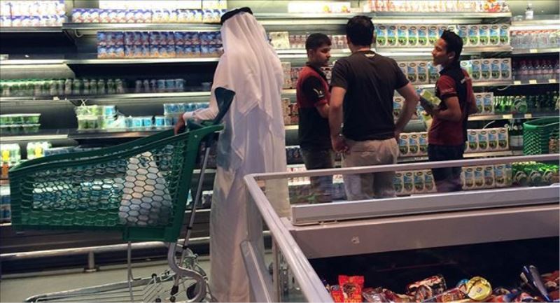 Katarlı iş adamından yeni hamle: Suudilere karşı 4 bin inek