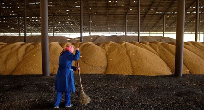 ‘Rus buğdayı Venezüella´daki gıda yetersizliğinin aşılmasına katkı sağlıyor´