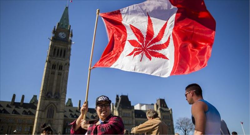 Kanada Senatosu´nun kararı: Keyif amaçlı esrar yasallaşsın