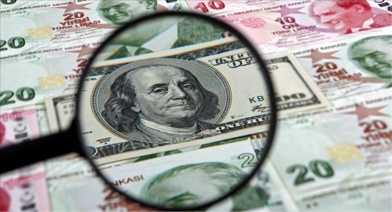 Rus ekonomist Kovalev: Dolar yerine yerel para birimlerinin kullanılması çok önemli bir adım