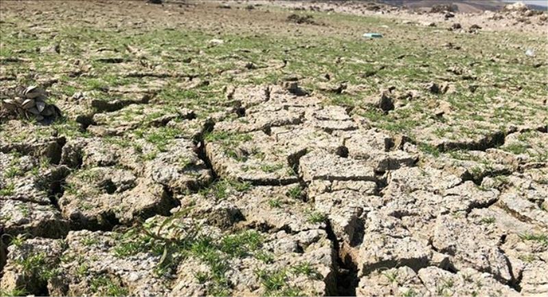 İstanbul için kuraklık uyarısı: 70-80 günlük su kaldı