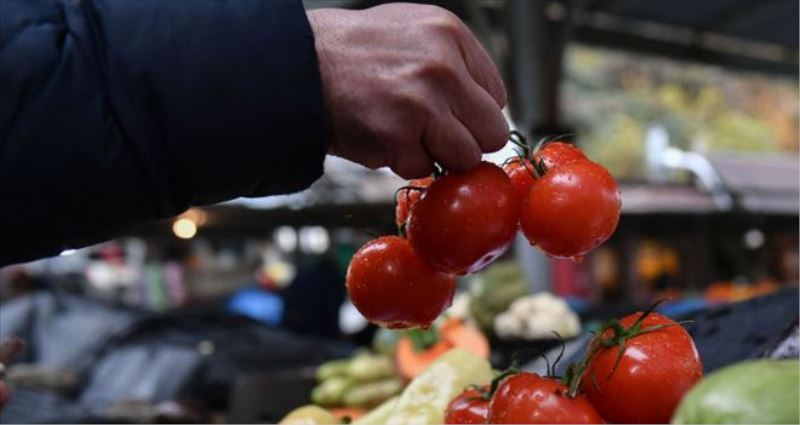 Rus üreticiler ithal domatesleri ikame etmeye hazır
