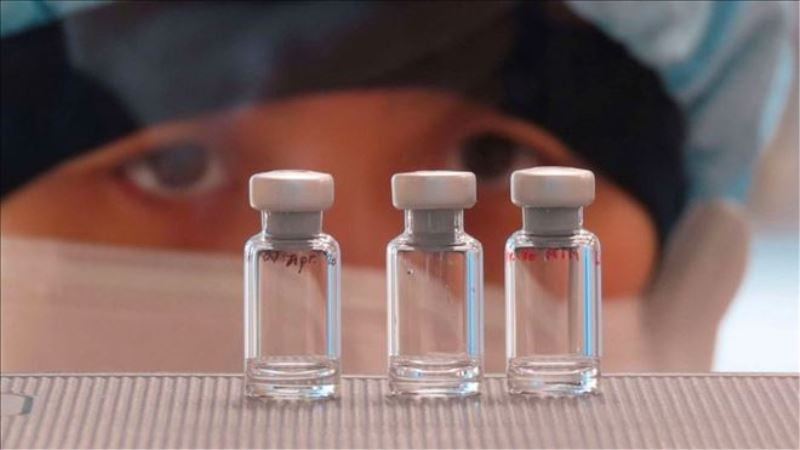 Oxford´un geliştirdiği aşı, maymunlar üzerinde yapılan testlerde olumlu sonuçlar verdi