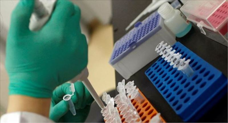Ankara Üniversitesi, ´koronavirüse karşı ilaç üretmenin ilk adımını´ attı: SARS-CoV-2 virüsünü izole etmeyi başardık