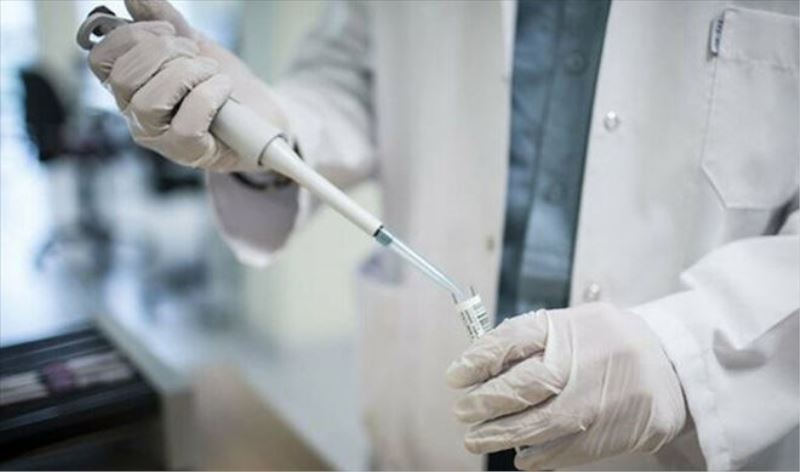 Peskov: Putin ve Rus elitine koronavirüs aşısı yapılmadı