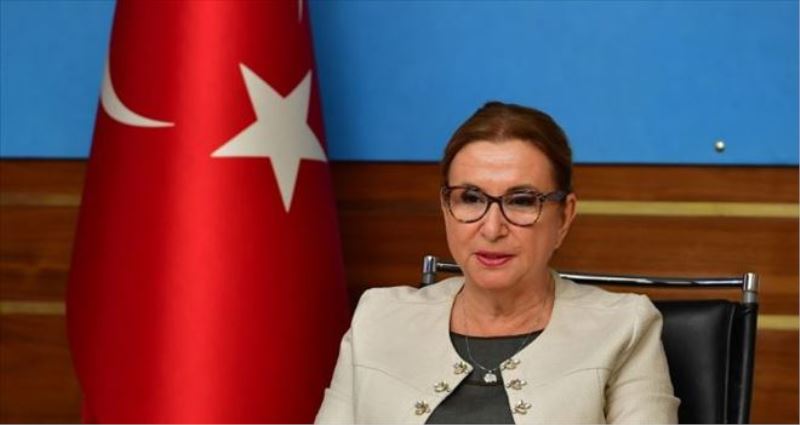 Ticaret Bakanı Pekcan: Türkiye ile KKTC arasındaki ticaret Türk lirası ile olmalı