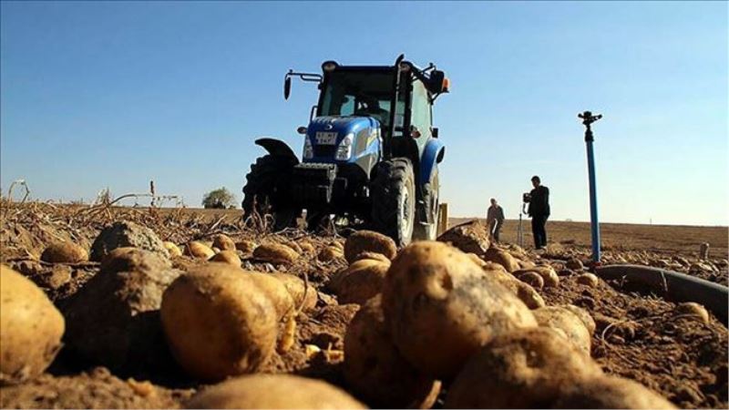 Nevşehirli çiftçi: Devlet patates alımına iş işten geçtikten sonra başladı