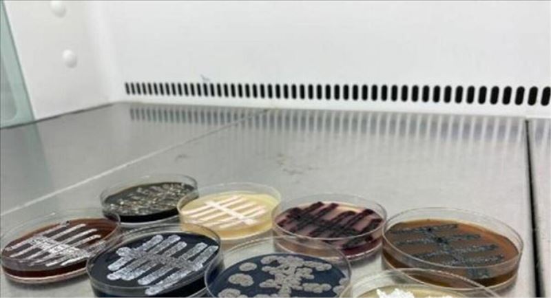 Türk bilim insanları, 6 ülkede 60 yeni tür bakteri keşfetti