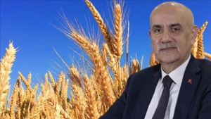 Türkiye´de buğday krizi yaşanır mı? Tarım ve Orman Bakanı Kirişçi yanıtladı