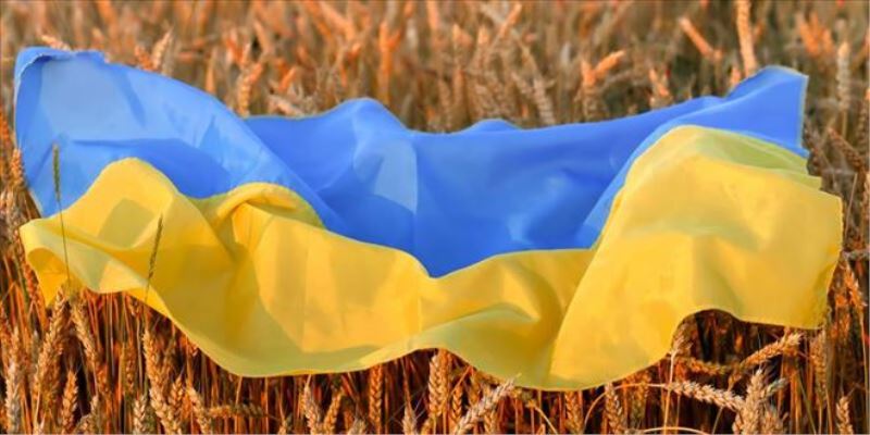 Ukrayna tahıllarının ihracatında son durum... Ankara Büyükelçisi açıkladı