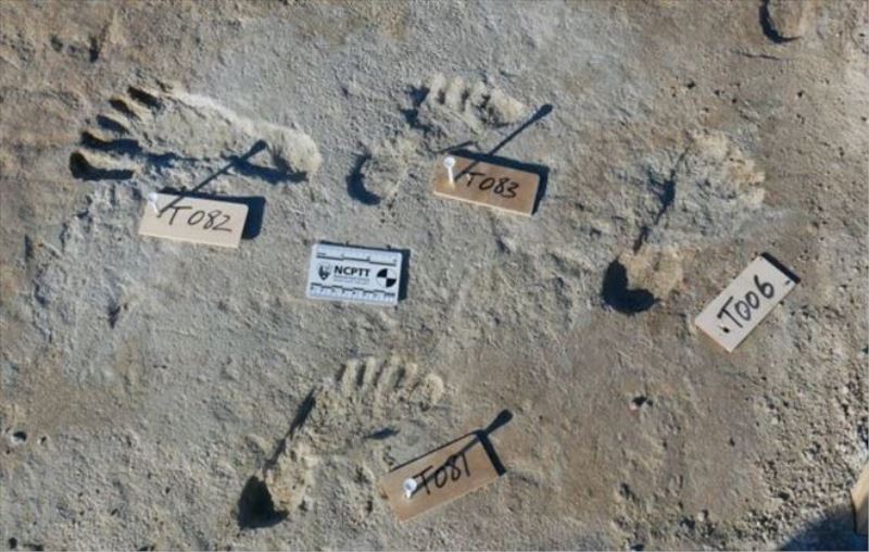 ABD´de 12 bin yıldan daha eski onlarca insan ayak izi bulundu