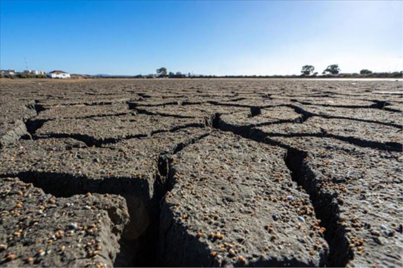 Avrupa´da kuraklık: 500 yılın en kötüsü olabilir