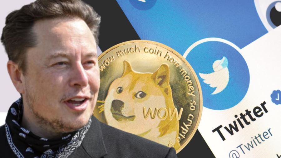 Kuş gitti köpek geldi... Elon Musk, Twitter