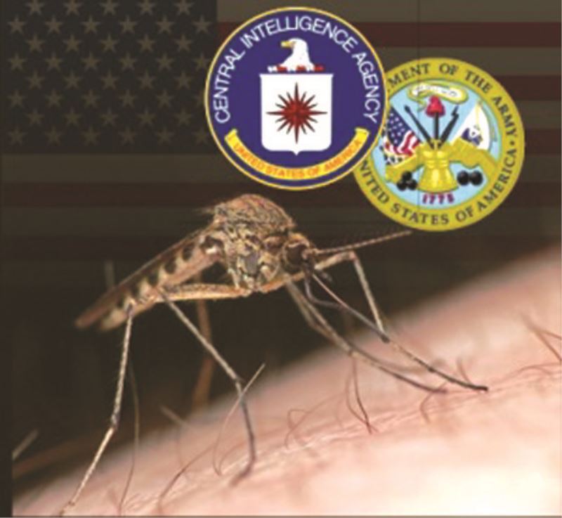 Genetiği Değiştirilmiş Sivrisinekler Ordusu Göreve Hazır