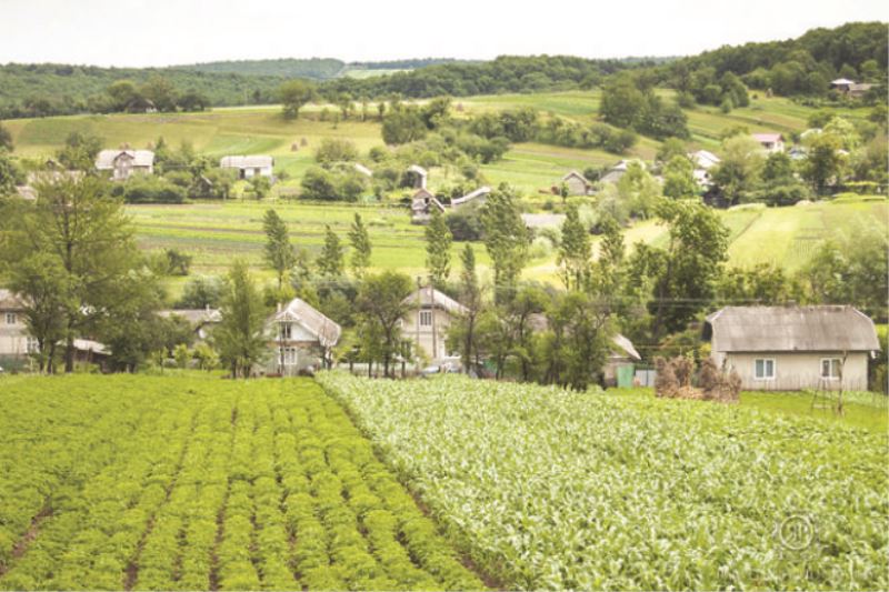 Çin Ukrayna`dan tarım toprağı alıyor