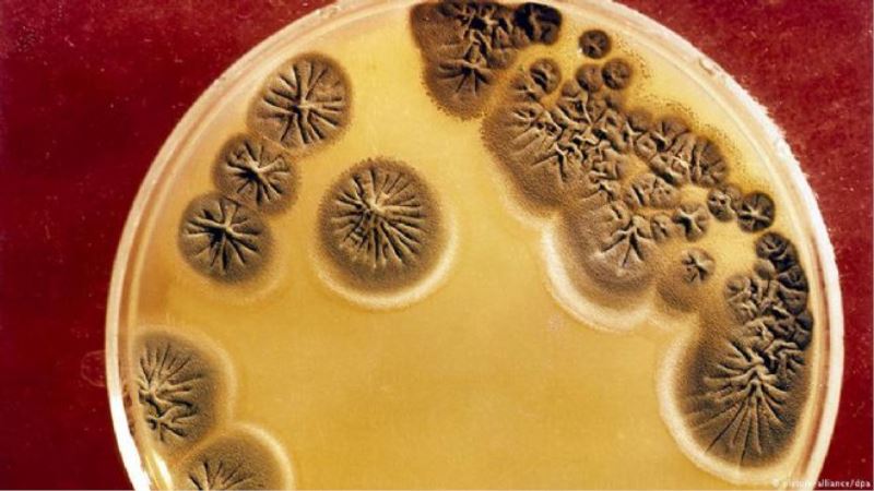 Antibiyotik bakterilerle başa çıkamıyor