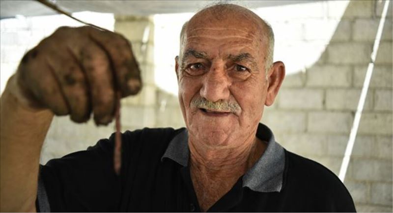 Suriye´nin ilk solucan çiftçisi: Küba gibi ablukanın üstesinden gelebiliriz